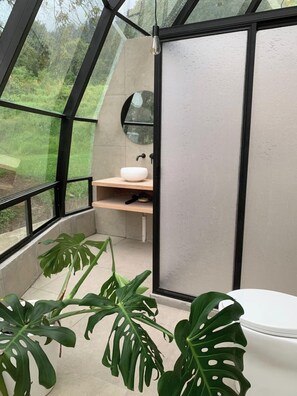 Toallas, jabón, papel de baño 