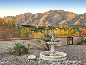 Property grounds - Spacious Catalina Mountain View Retreat 30+ min (Tucson)