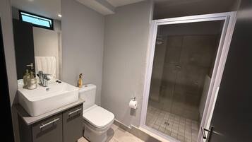 Shower, towels, soap, toilet paper