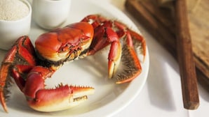 Un crabe sur une assiette, accompagné de deux petits ramequins de condiments.