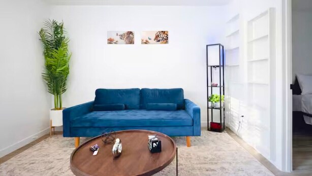 Un salon moderne avec un canapé bleu, une table basse ronde et une grande plante.