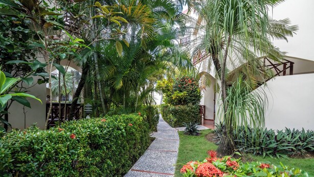 A pathway flanked by lush greenery and a building with a modern design. - Willow Estates Luxury Condo – Spacious 2BR 2BA Pool and Las Terrenas Beaches (Las Terranas)