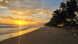 Una playa con un atardecer, palmeras y huellas en la arena.