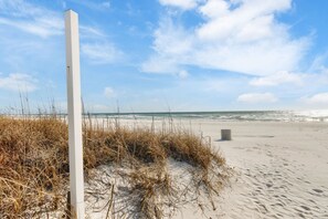 Ein Strand mit Sand, Seetang und einem weißen Pfosten.
