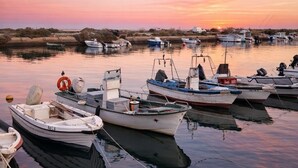 Un puerto deportivo con varias embarcaciones amarradas durante la marea baja.