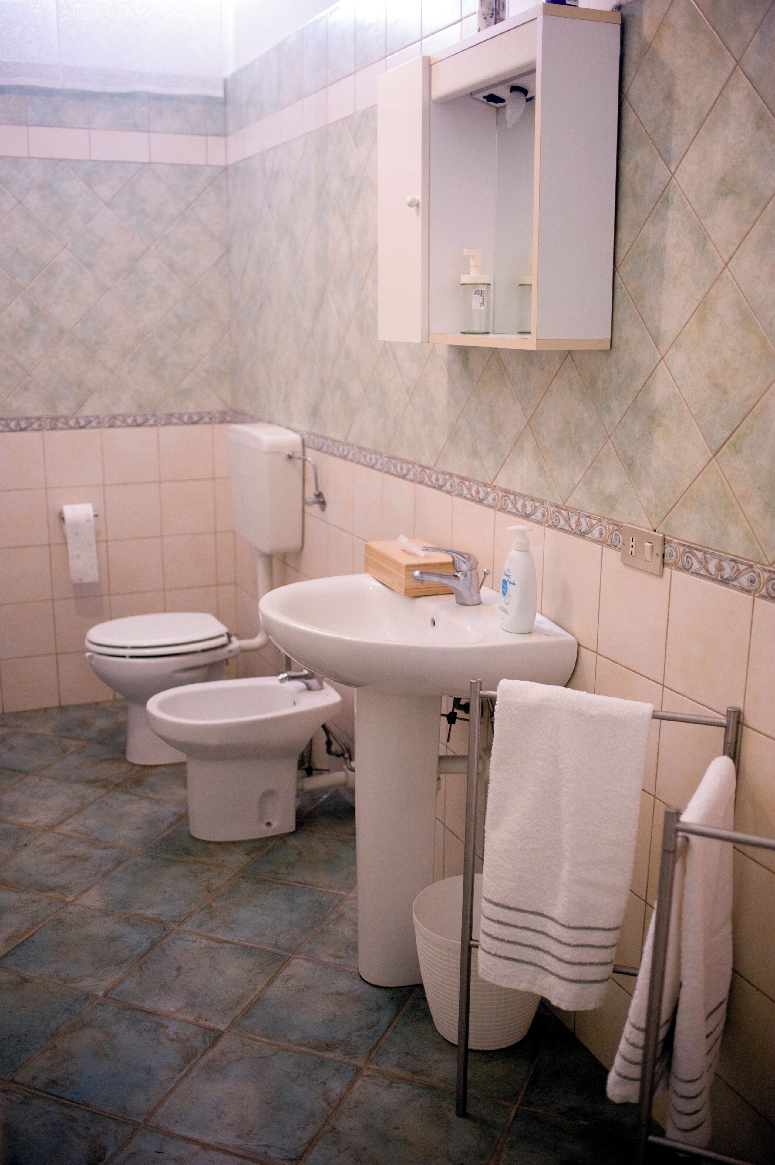 Asciugacapelli, bidet, asciugamani, sapone