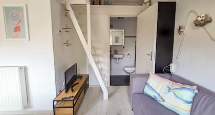 Het Veerse Huisje (including 2 bikes)