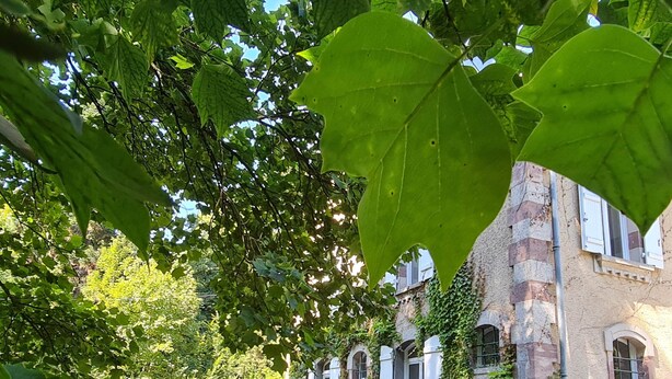 Un edificio de piedra con ventanas arqueadas y fachada de ladrillo, rodeado de abundante vegetación y un sendero pavimentado.