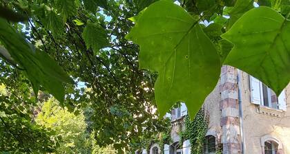 Chalet des Loups - Suite luxueuse et bien ĂȘtre "Le refuge"