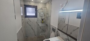 Regadera, secadora de cabello, toallas, jabón 