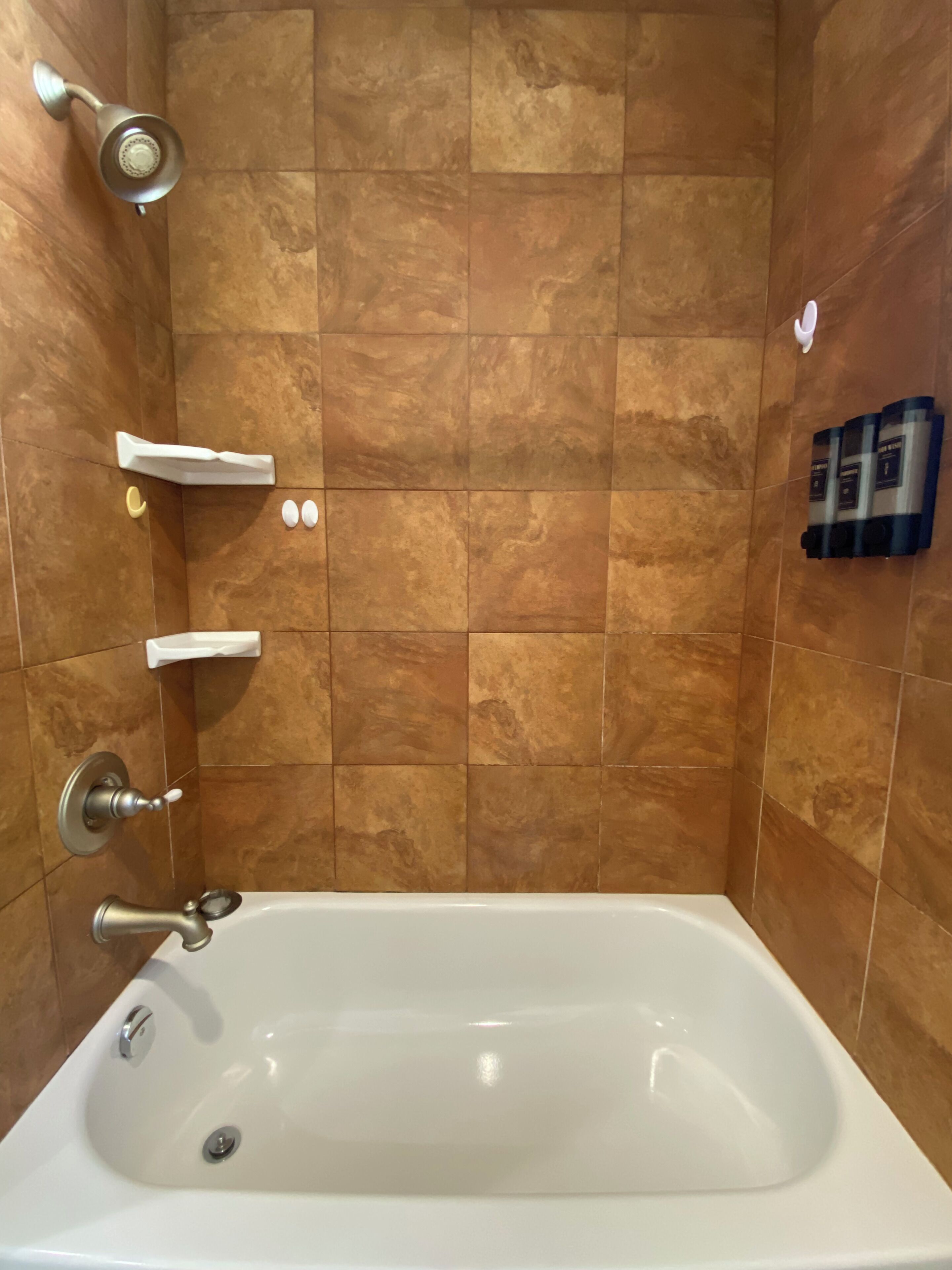 Une salle de bain équipée d’une baignoire, d’une douche et d’un distributeur de savon liquide.