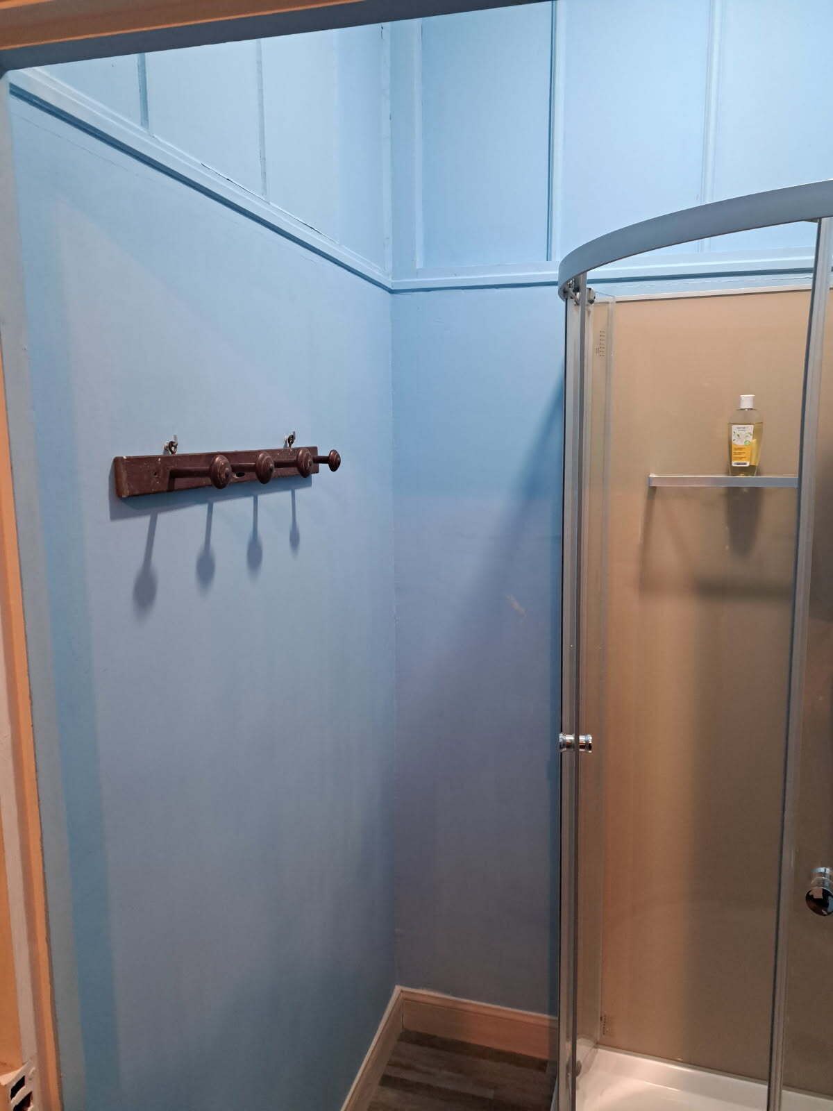 Hair dryer, bidet, towels, soap