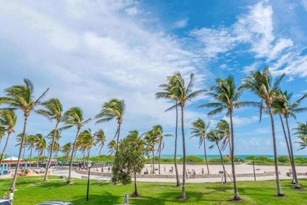 A beachside area with palm trees, a grassy lawn, and a pathway leading to the beach.