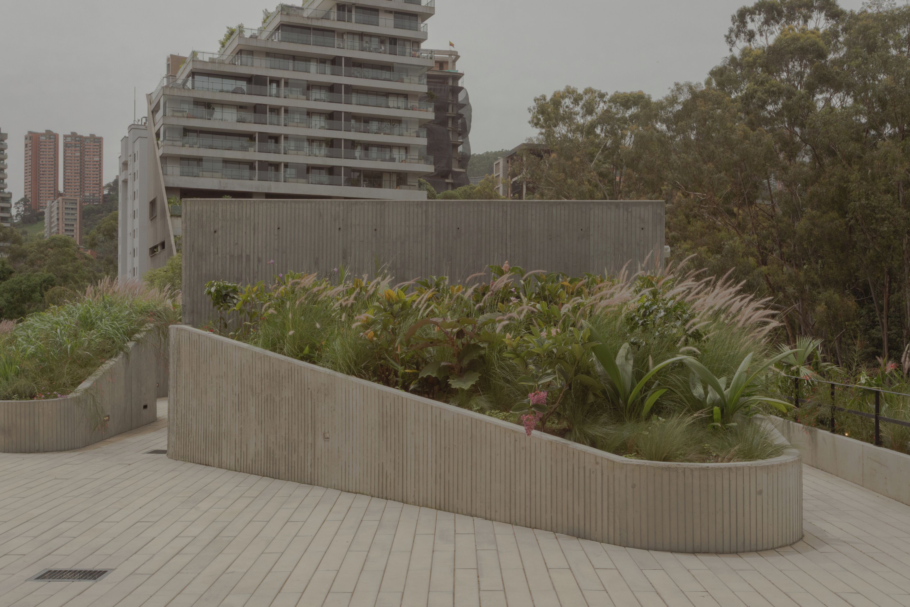 A rooftop garden with a modern building in the background.