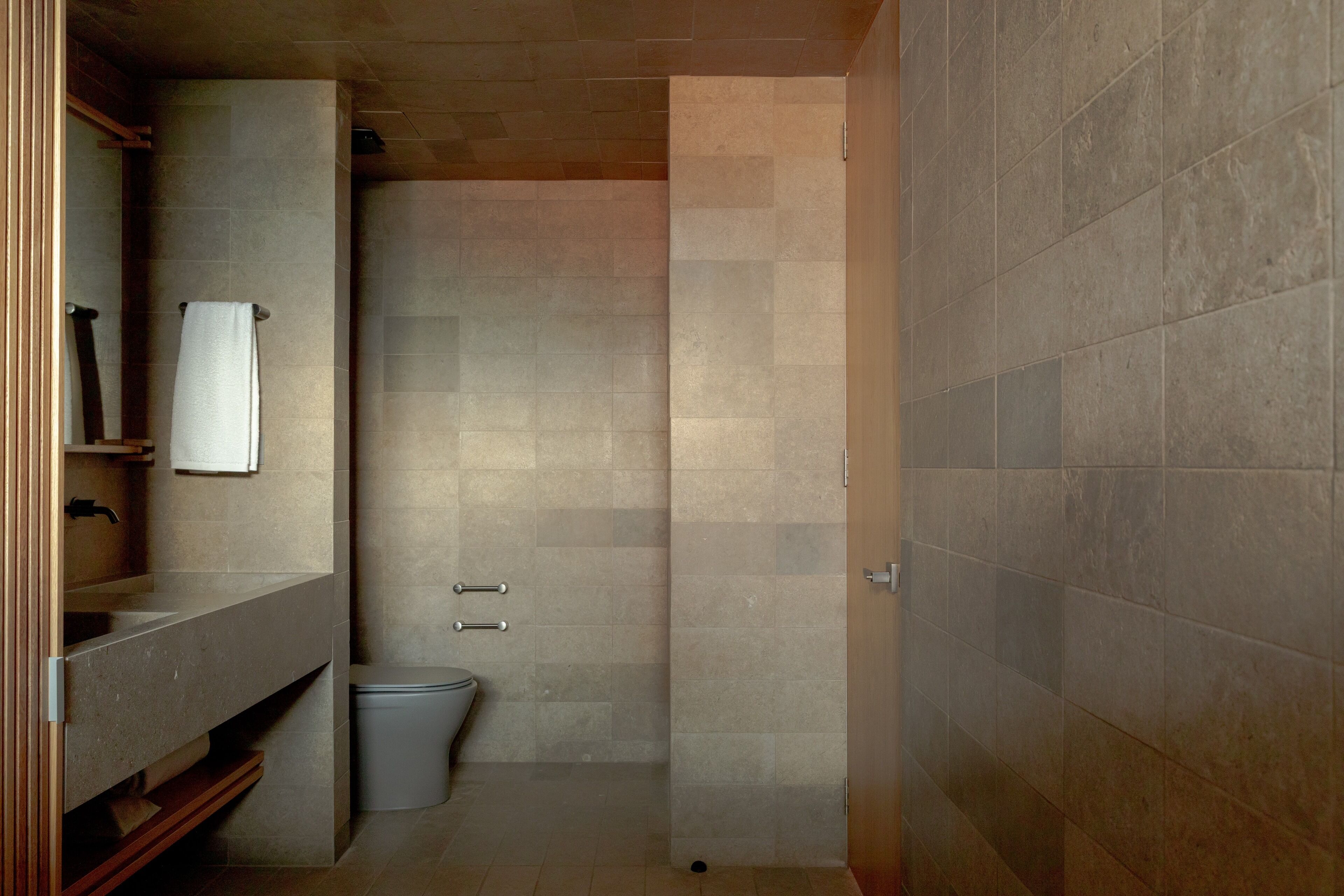 Une salle de bain avec un meuble-lavabo en bois, des toilettes et un espace douche.