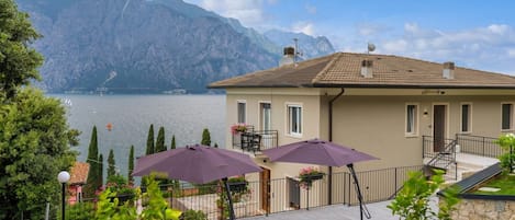 Terras