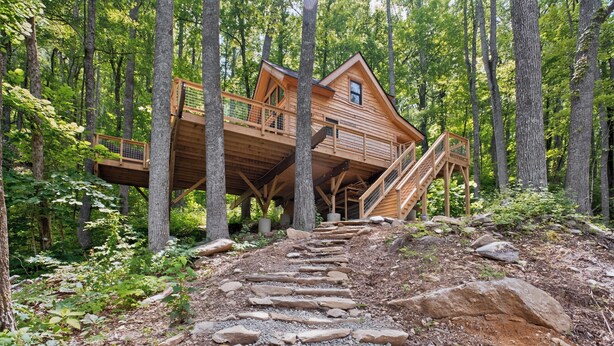 A wooden cabin elevated on stilts in a forest.