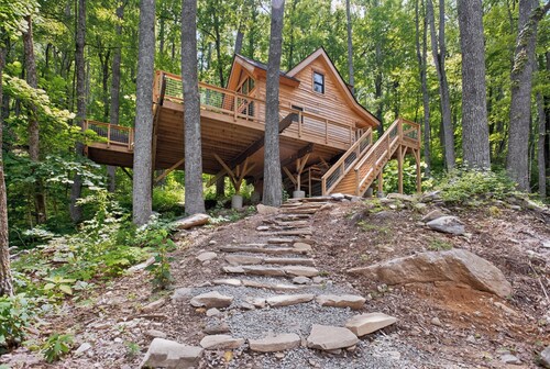 The Beary Cozy Treehouse