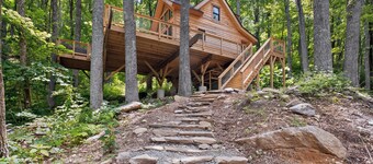 The Beary Cozy Treehouse