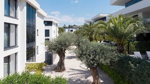 A modern residential area with white buildings, a gravel pathway, and various trees including an olive tree. - Villas Azimut - Luxury Apartment with a Private Pool Near the Sea (Malinska (Krk))