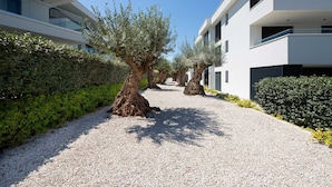 Un edificio moderno con un vialetto sterrato fiancheggiato da ulivi e cespugli.