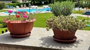 Zwei Terrakotta-Töpfe mit Pflanzen auf einem Balkon mit Blick auf einen Swimmingpool und Liegestühle.