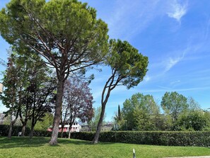 Property grounds - Casa Bonita, an oasis of relaxation, set in a garden with a swimming pool. (Desenzano del Garda)