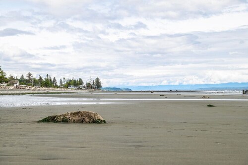 Beachfront 2 bed | Arcade, A+ Views, Lux King bed