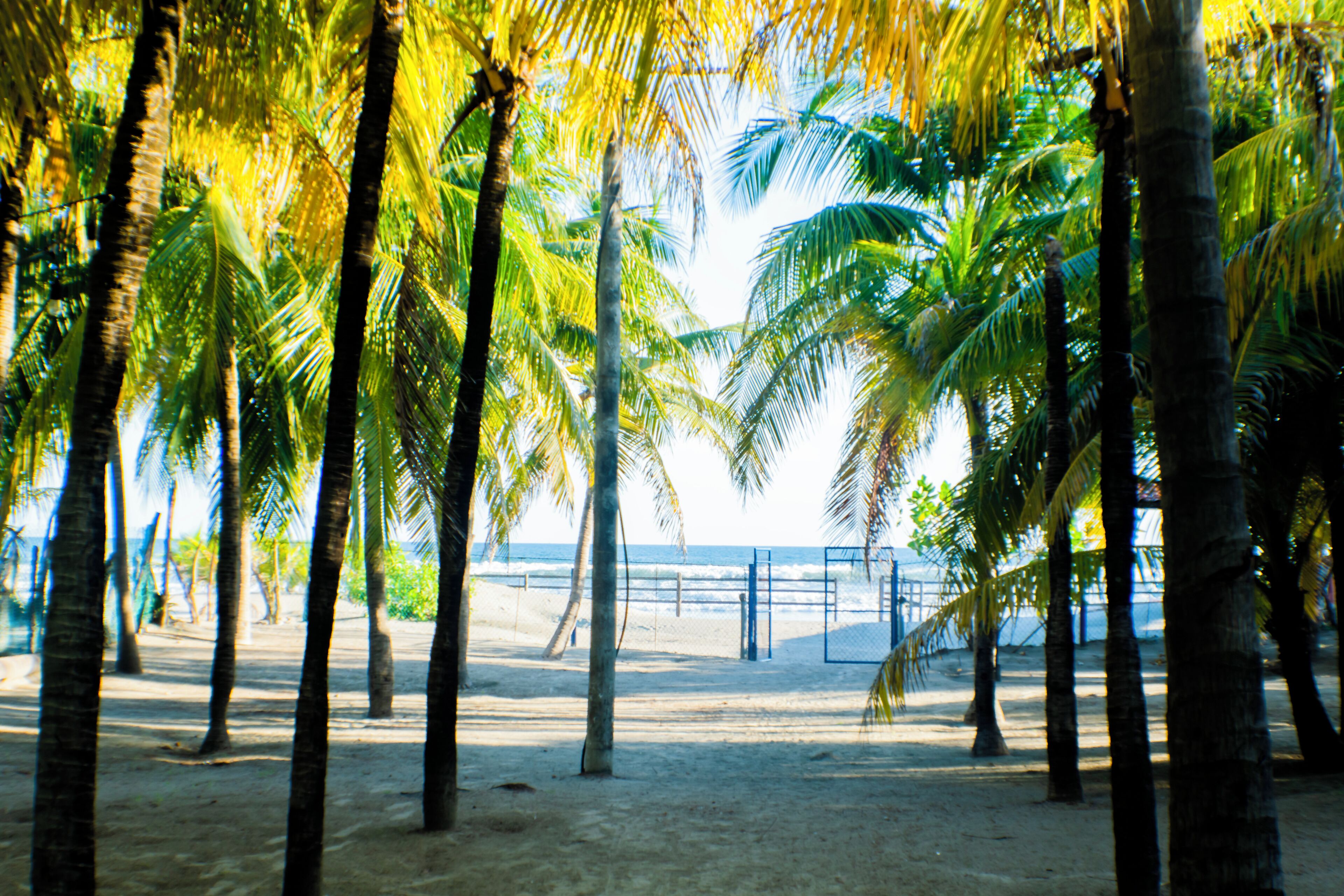 Playa