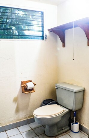 Towels, soap, toilet paper