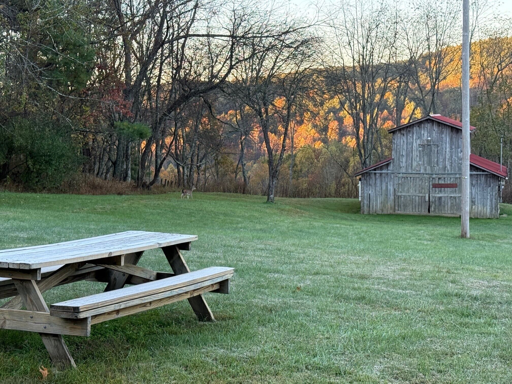 تناول الطعام بالخارج