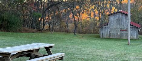 تناول الطعام بالخارج