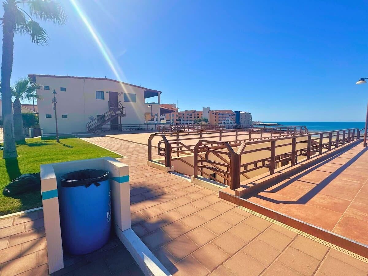 Un paseo marítimo con un bote de basura, palmeras y un edificio al fondo.