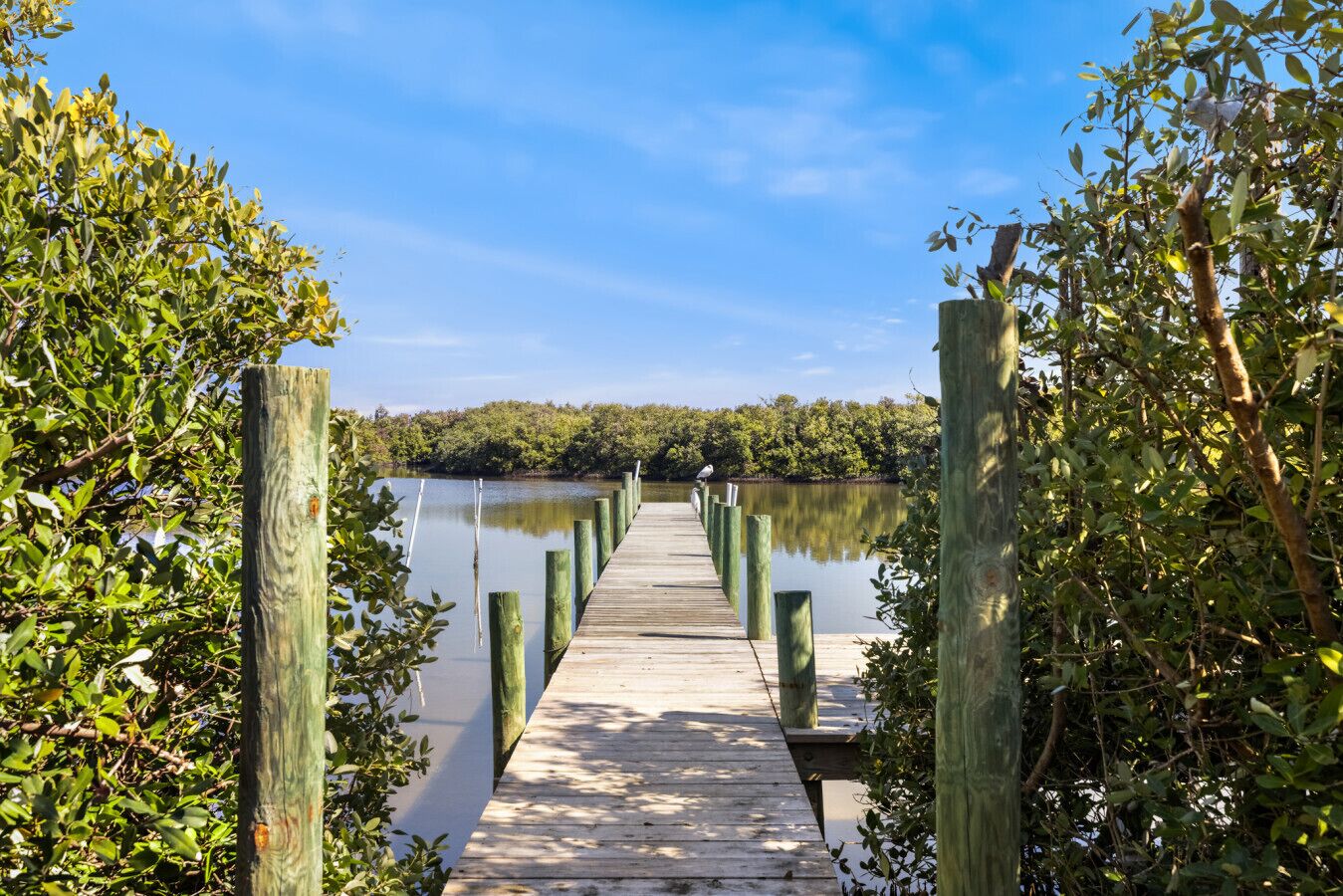 Une jetée en bois s’étendant dans une étendue d’eau calme, entourée d’une végétation luxuriante.