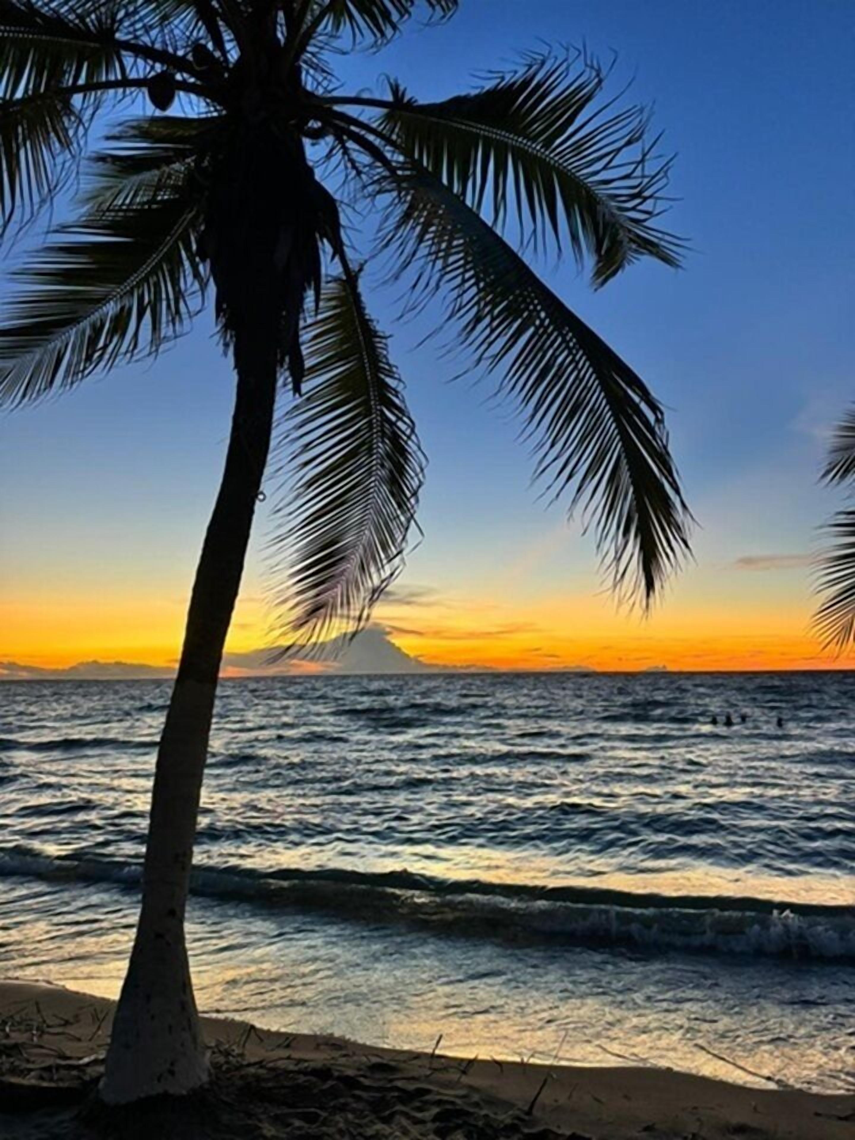 Ubicación cercana a la playa