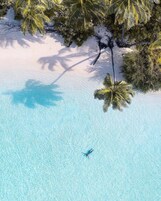 Vista aérea de uma praia com águas azul-turquesa cristalinas, areia branca e palmeiras.