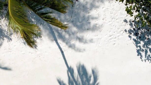 A person standing on a beach with clear turquoise water and a palm tree casting a shadow. - Handhuvaru Maldives (Milandhoo)
