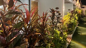 A modern hotel interior with a long corridor lined with potted plants, a wooden ceiling, and a window with curtains. - Handhuvaru Maldives (Milandhoo)