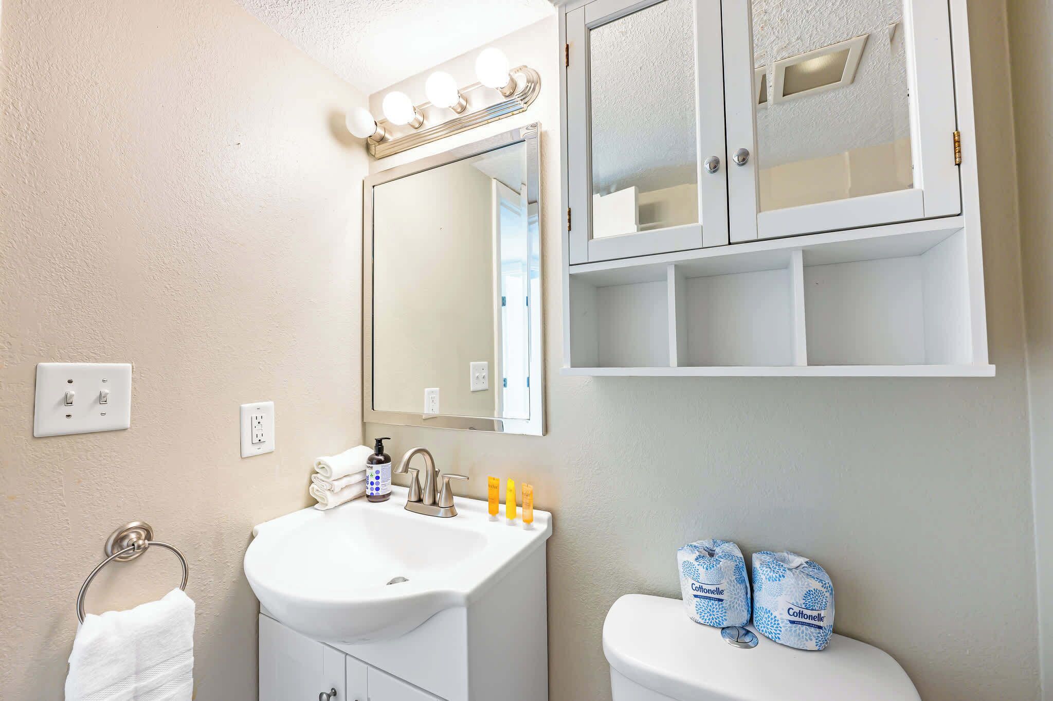 Une salle de bain avec un lavabo blanc, un miroir et un meuble-lavabo, des toilettes avec du papier toilette, et un porte-serviettes.