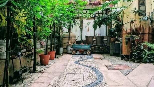 A narrow pathway with a pebble border, flanked by potted plants and a wheelbarrow.