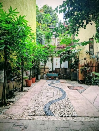 Property grounds. Hotel Coyoacan