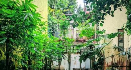 Hotel Coyoacan