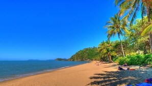 A beach with clear blue water, sandy shore, and palm trees. - Family Entertainer in Kanimbla - Space & Privacy (Kanimbla)
