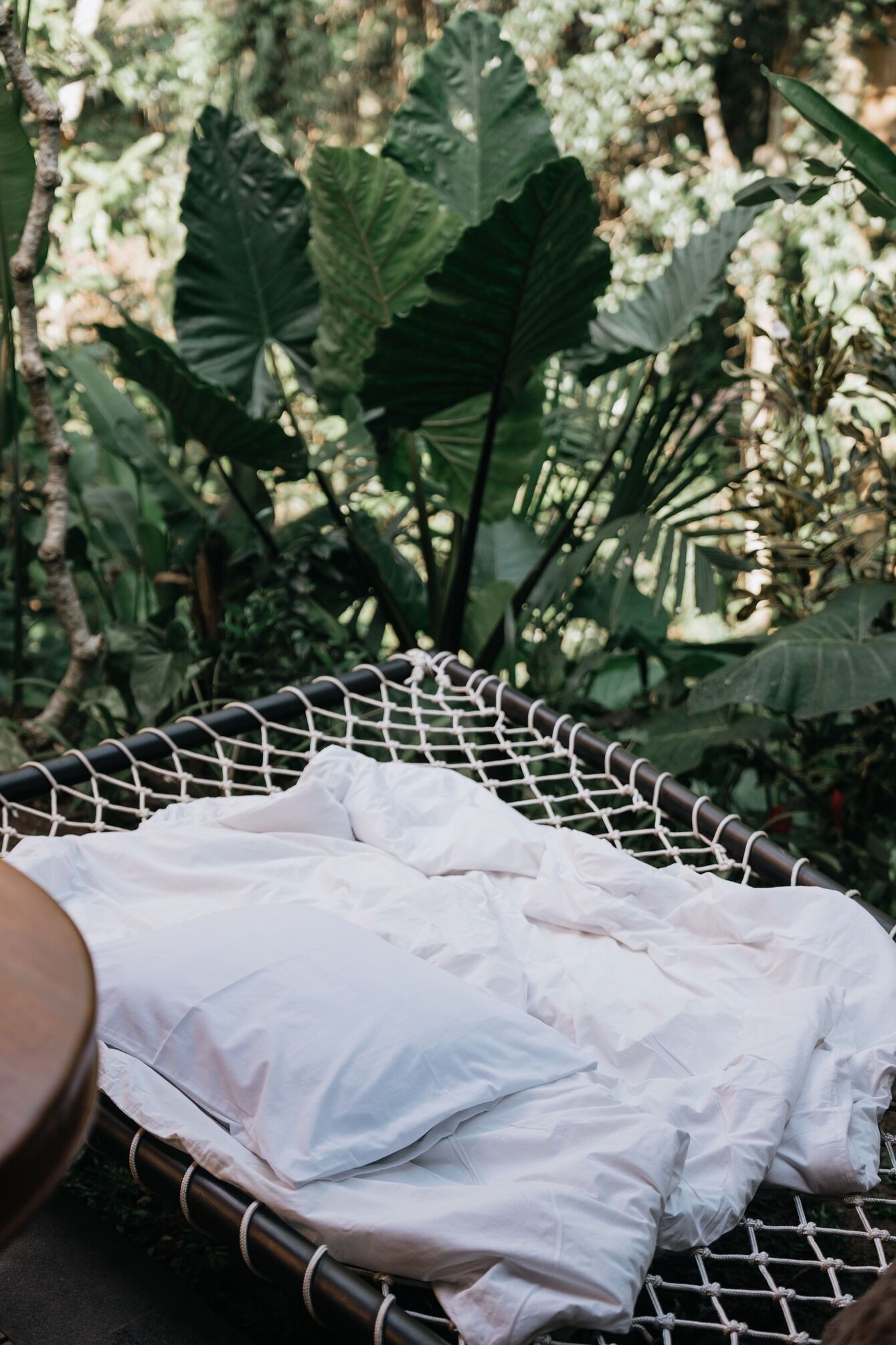 A hammock with white fabric, surrounded by large green leaves.