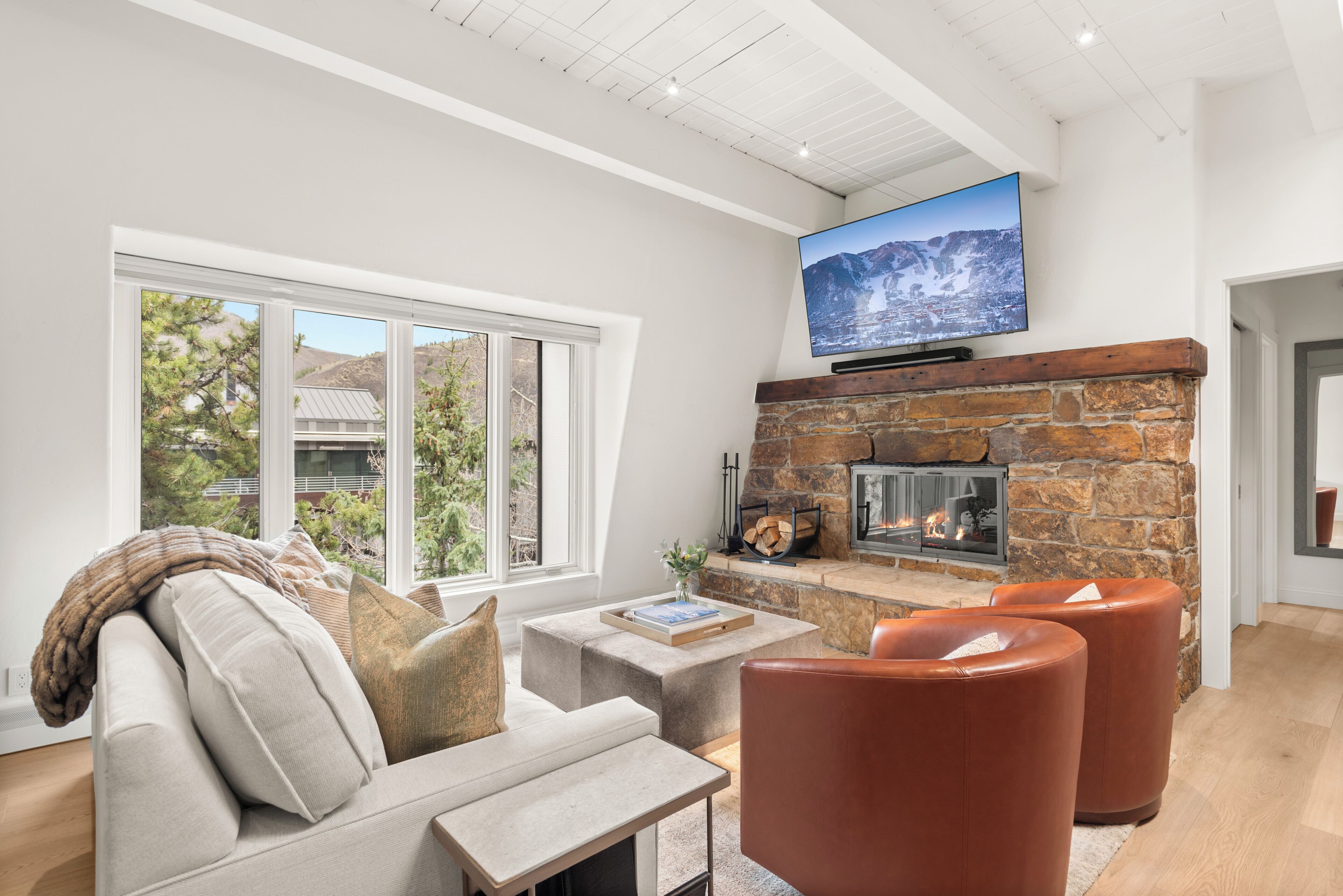 TV, fireplace