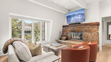 Fernseher, Kamin