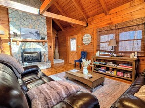 Smart TV, fireplace, books