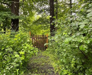 A forested area with a wooden gate, surrounded by dense green foliage and trees. - Fall Weekends: Hot Tub, Green River Hike, Sleeps 10 (Great Barrington)