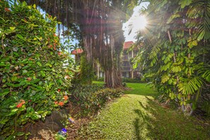 A lush garden with a pathway, large trees, and a building in the background. - *Hot July Deal* Kona Mansions Ocean View (Kailua-Kona)