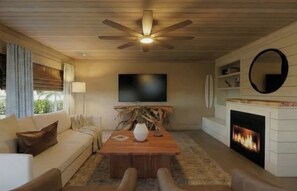 Smart-TV, Kamin